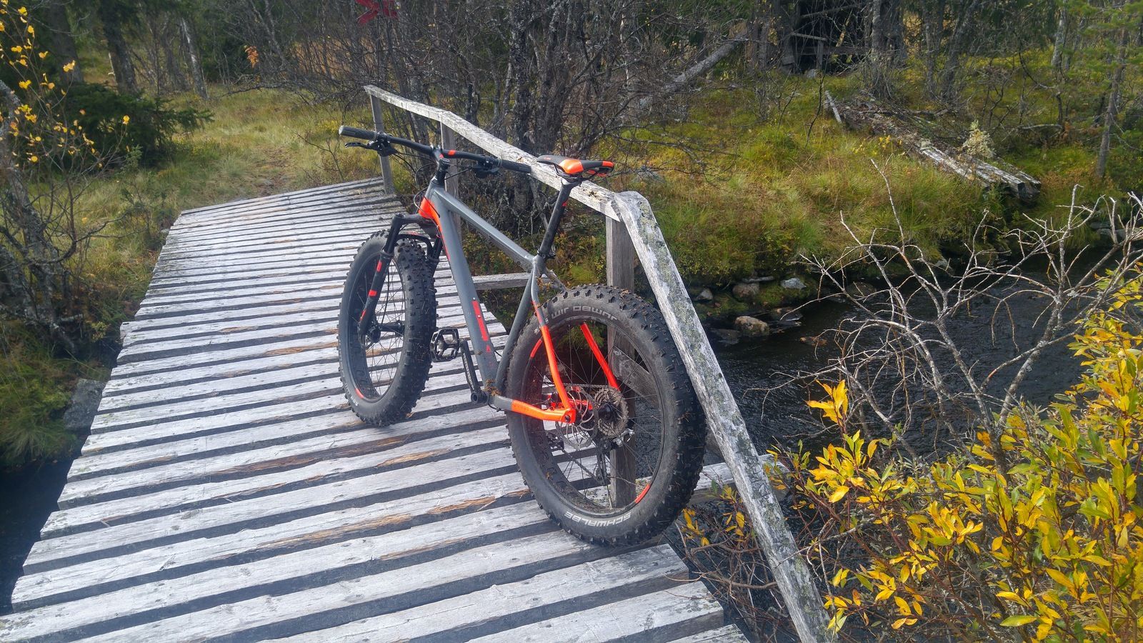 20161001_143530_HDR.jpg