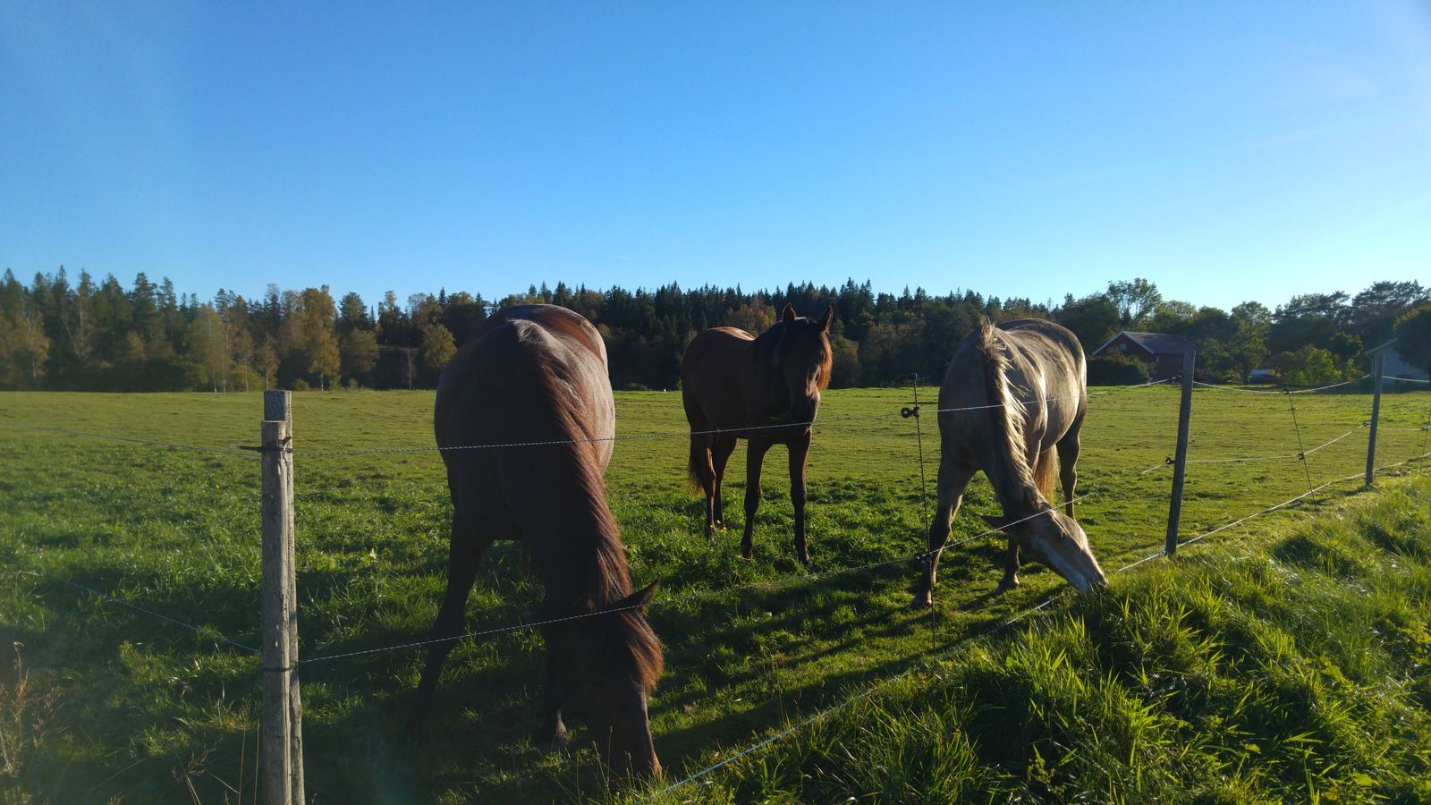 20161003_165005.jpg