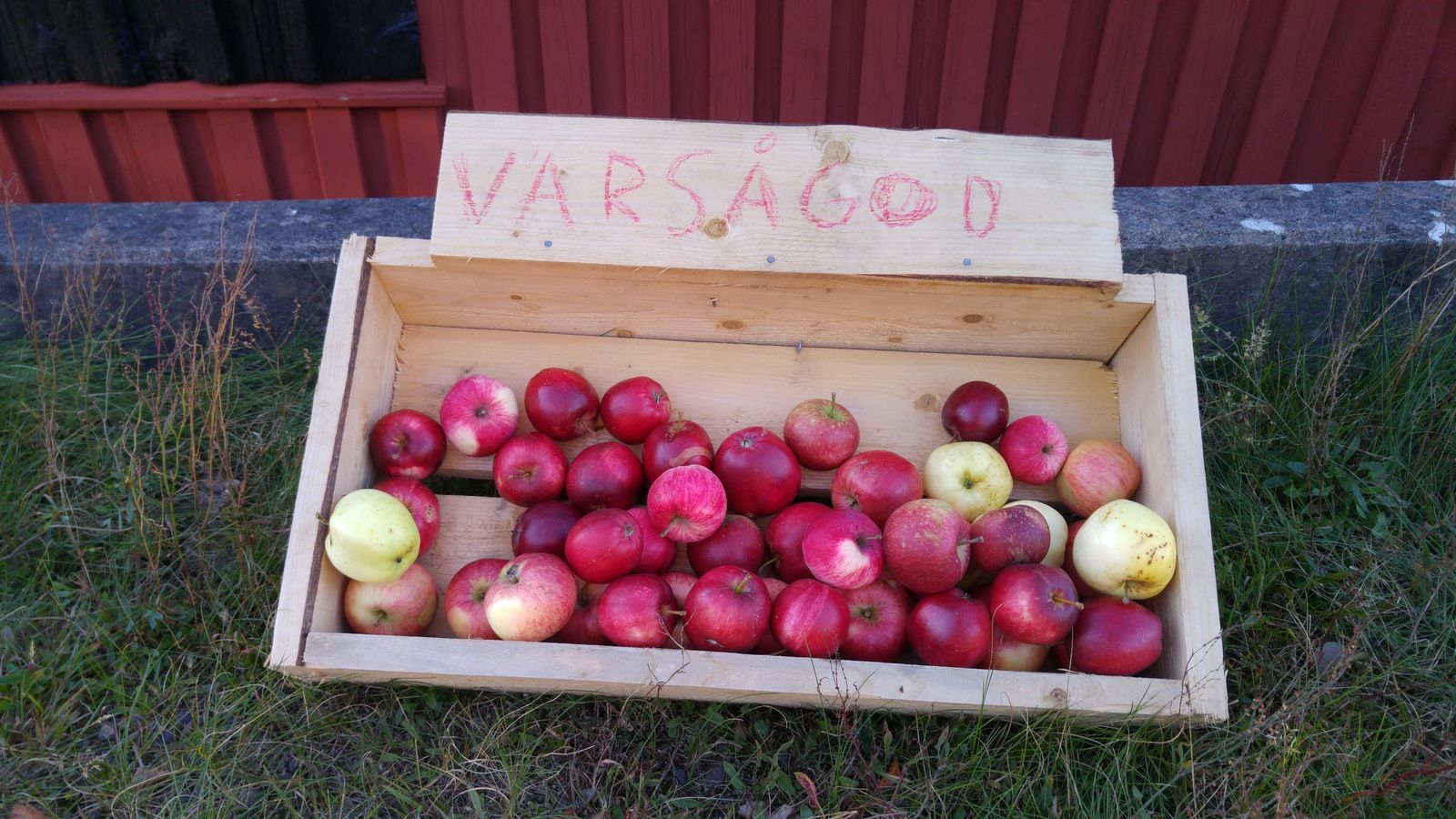 20161003_171242.jpg