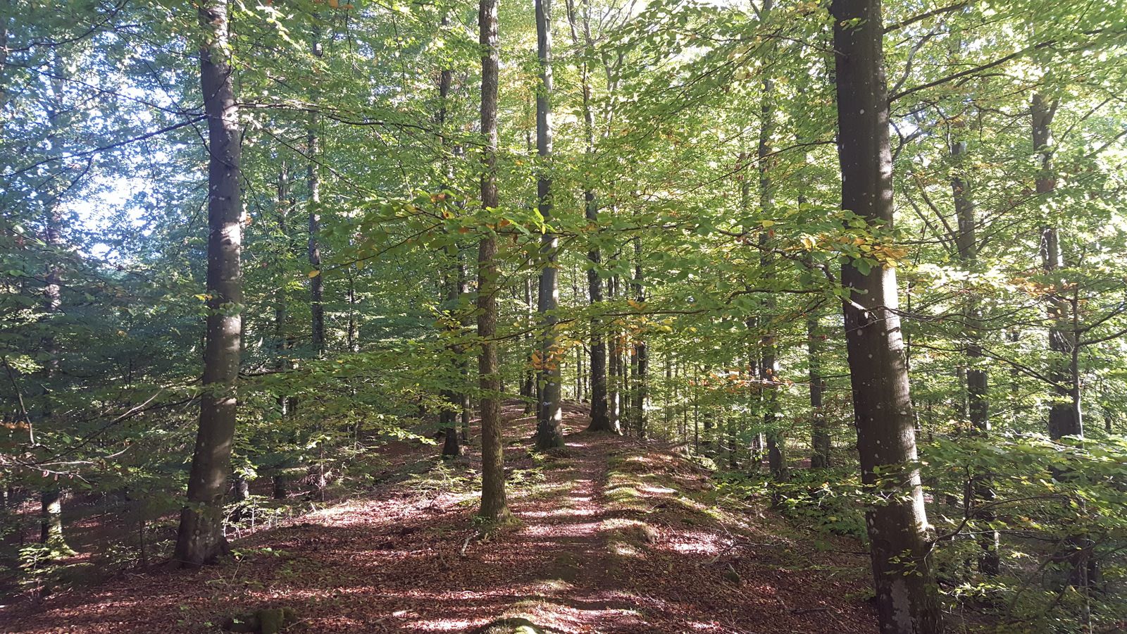 20161005_160039.jpg