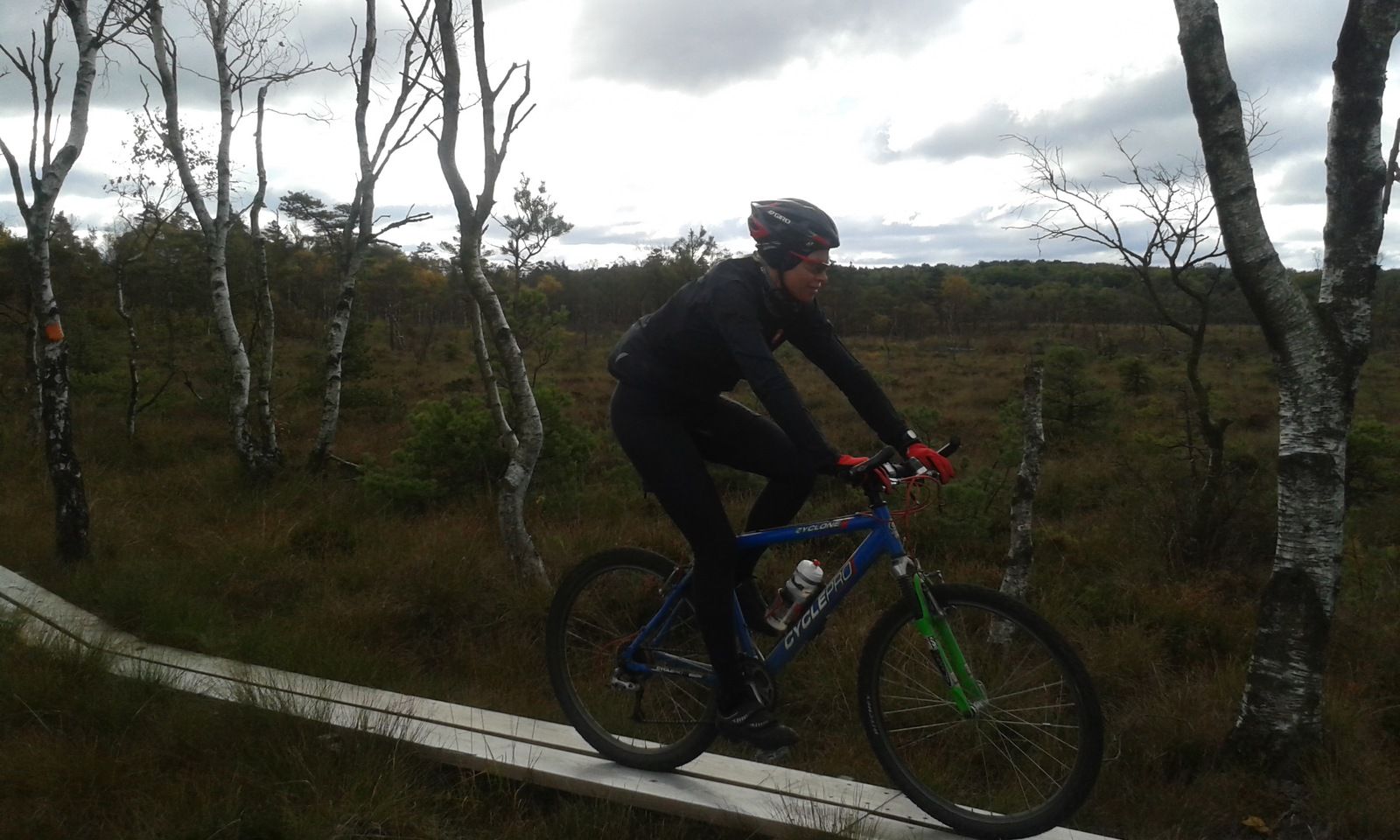 20161008_121153.jpg