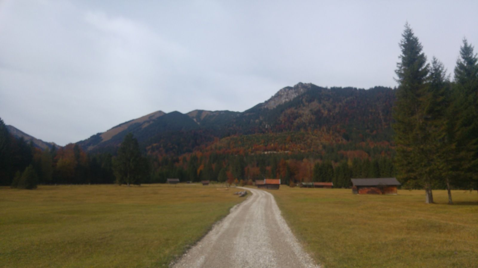 20161024_113536.jpg