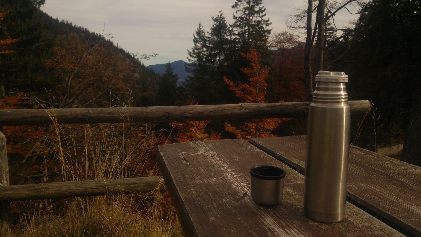 20161024_123237.jpg