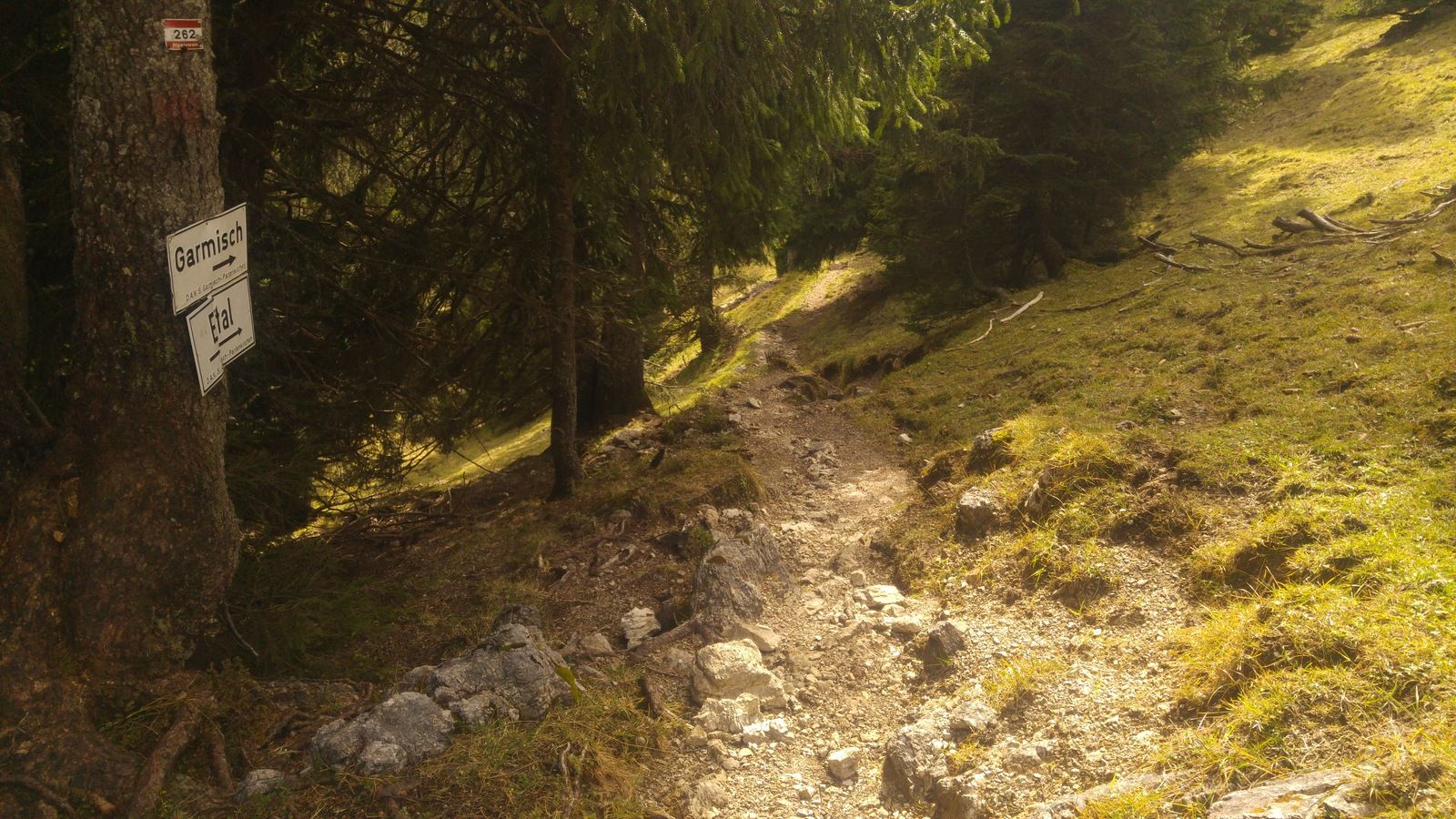 20161024_131632.jpg
