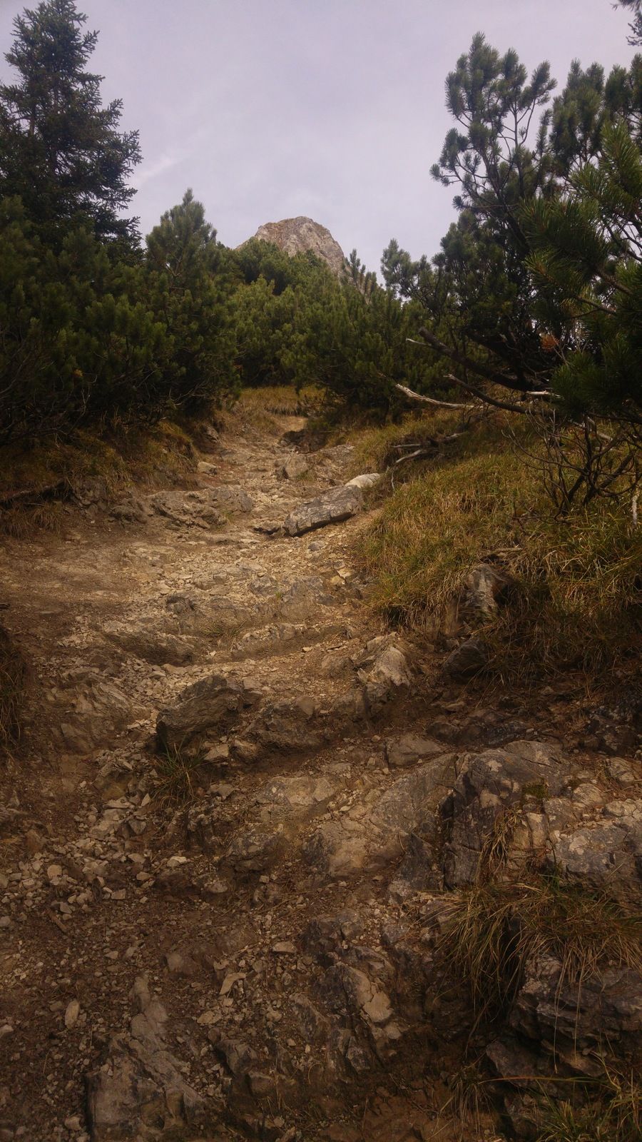 20161024_132748.jpg