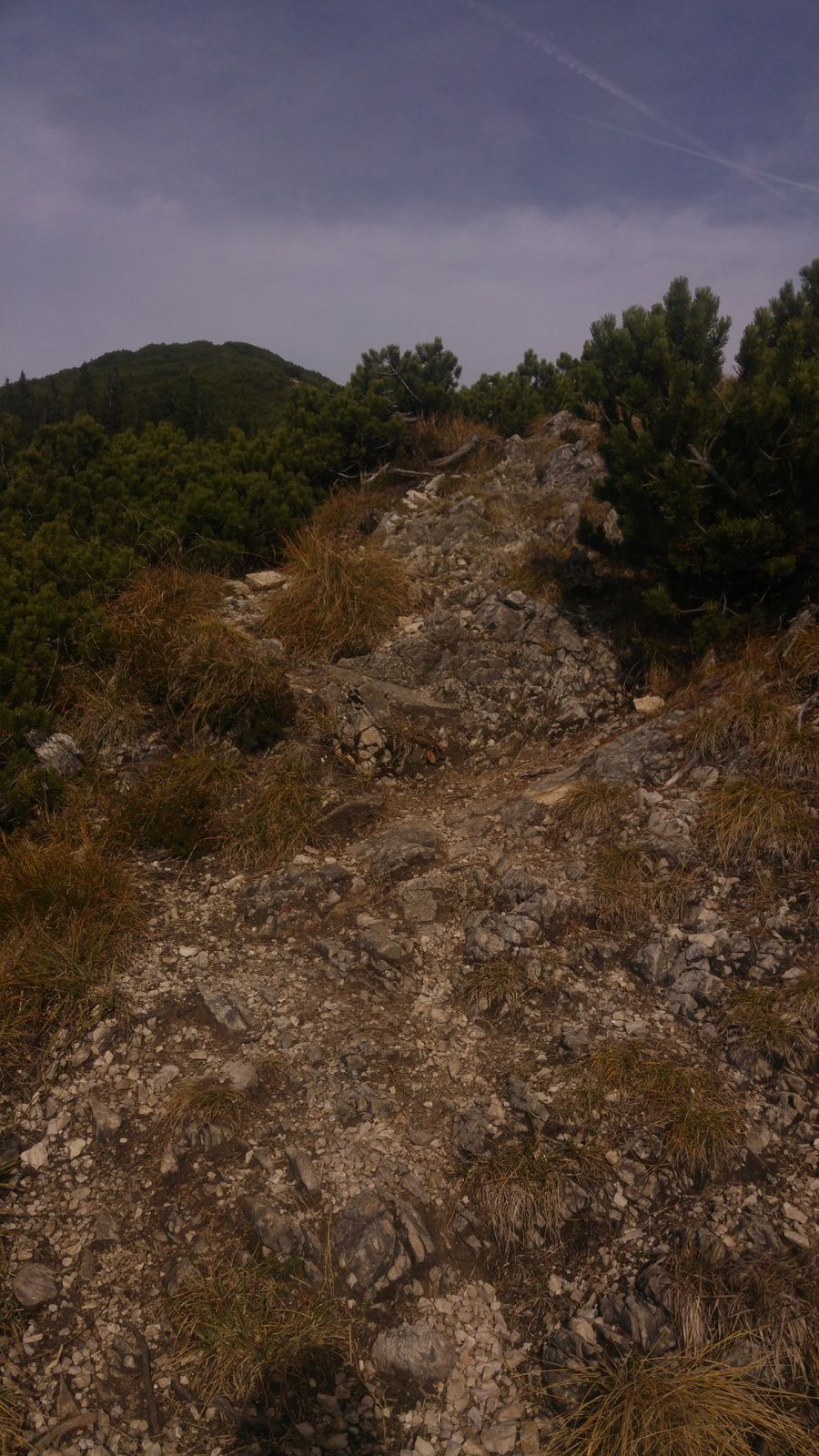 20161024_143031.jpg