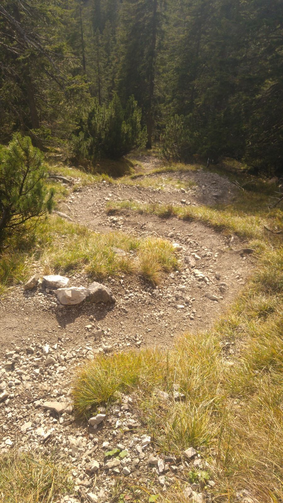 20161024_143709.jpg