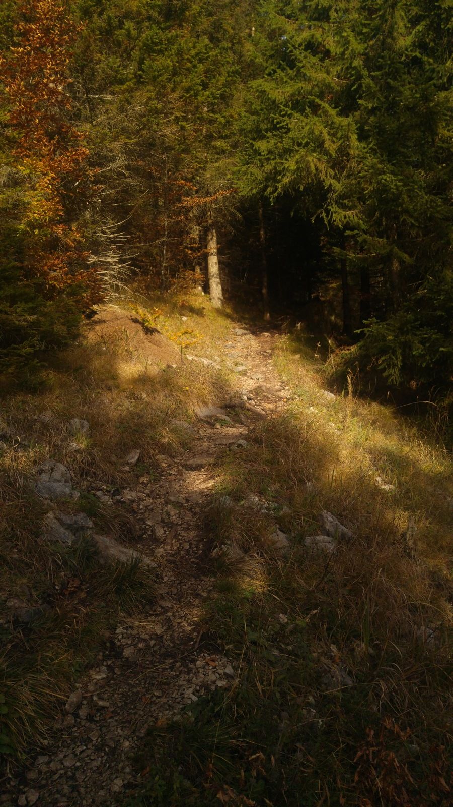 20161024_153034.jpg