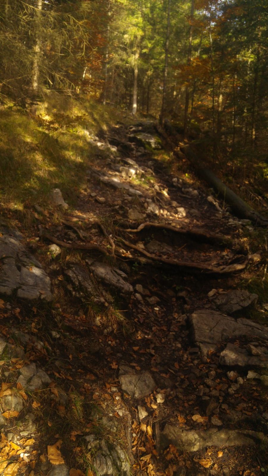 20161024_153405.jpg