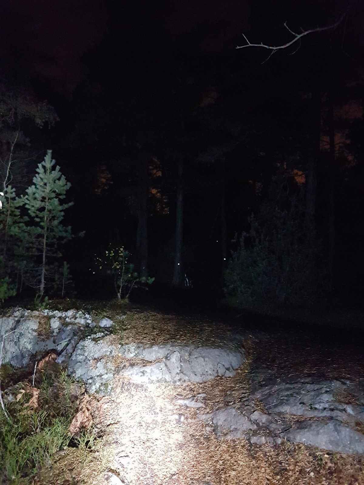 20161024_210538.jpg