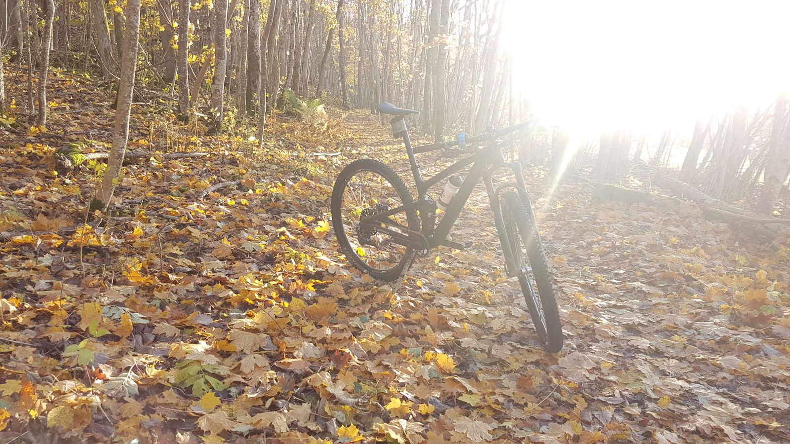 20161028_160147.jpg