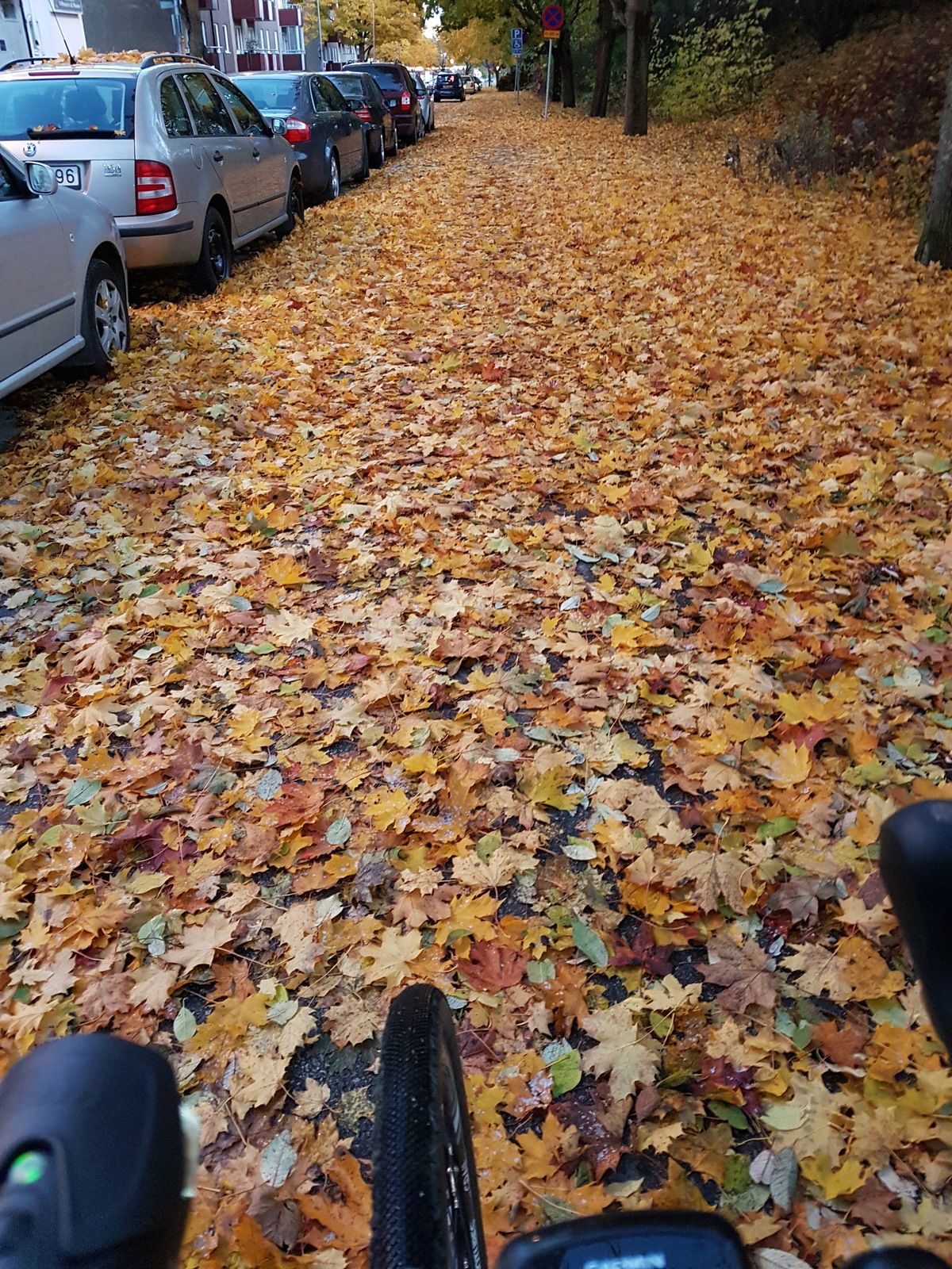 20161028_172248.jpg