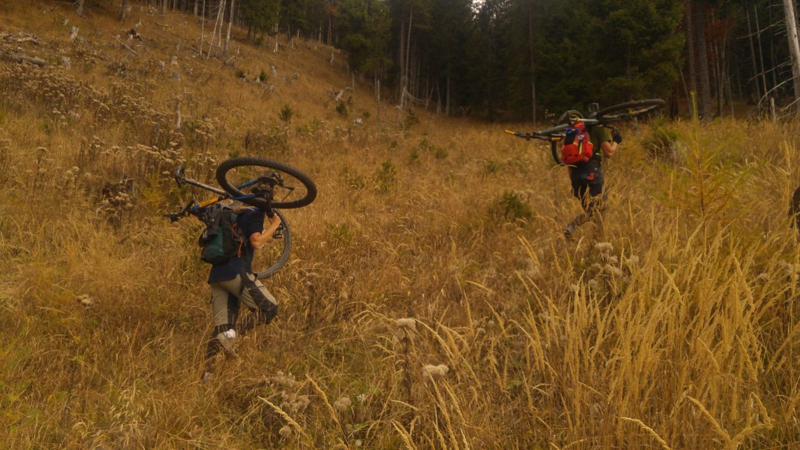 20161030_120023.jpg