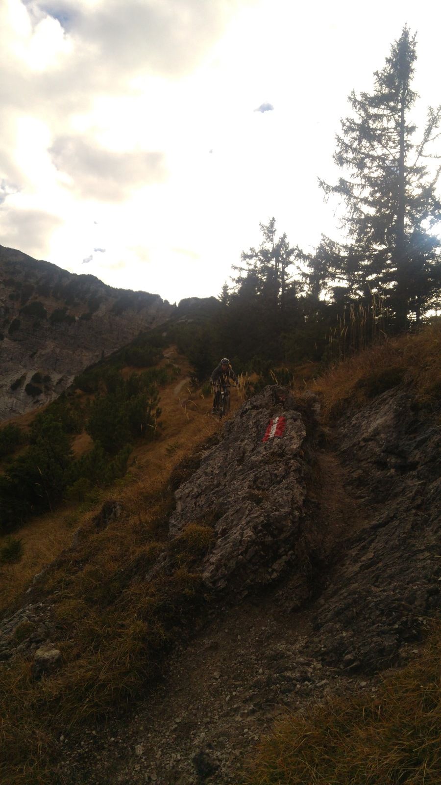 20161030_141357.jpg