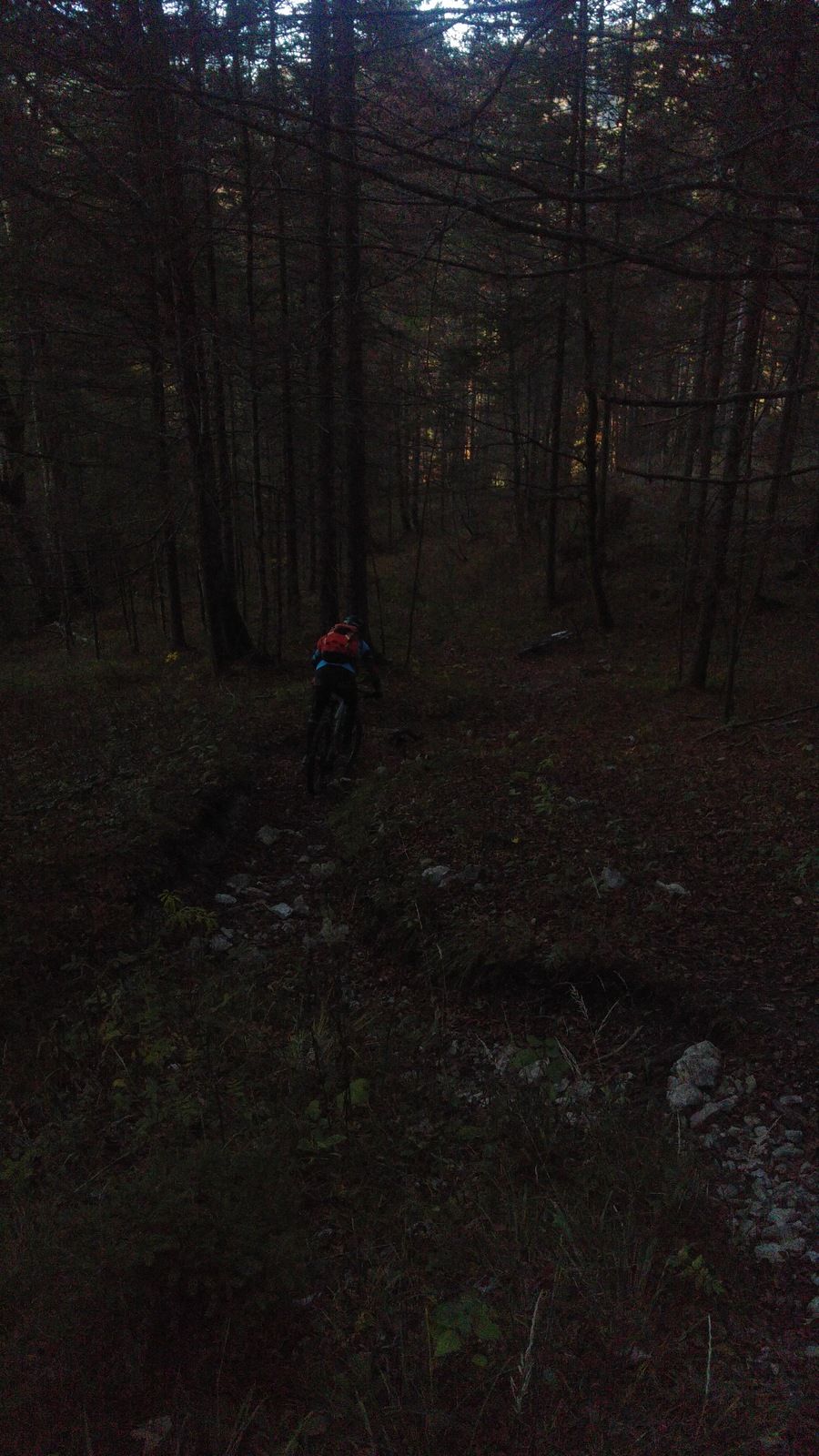 20161030_154422.jpg