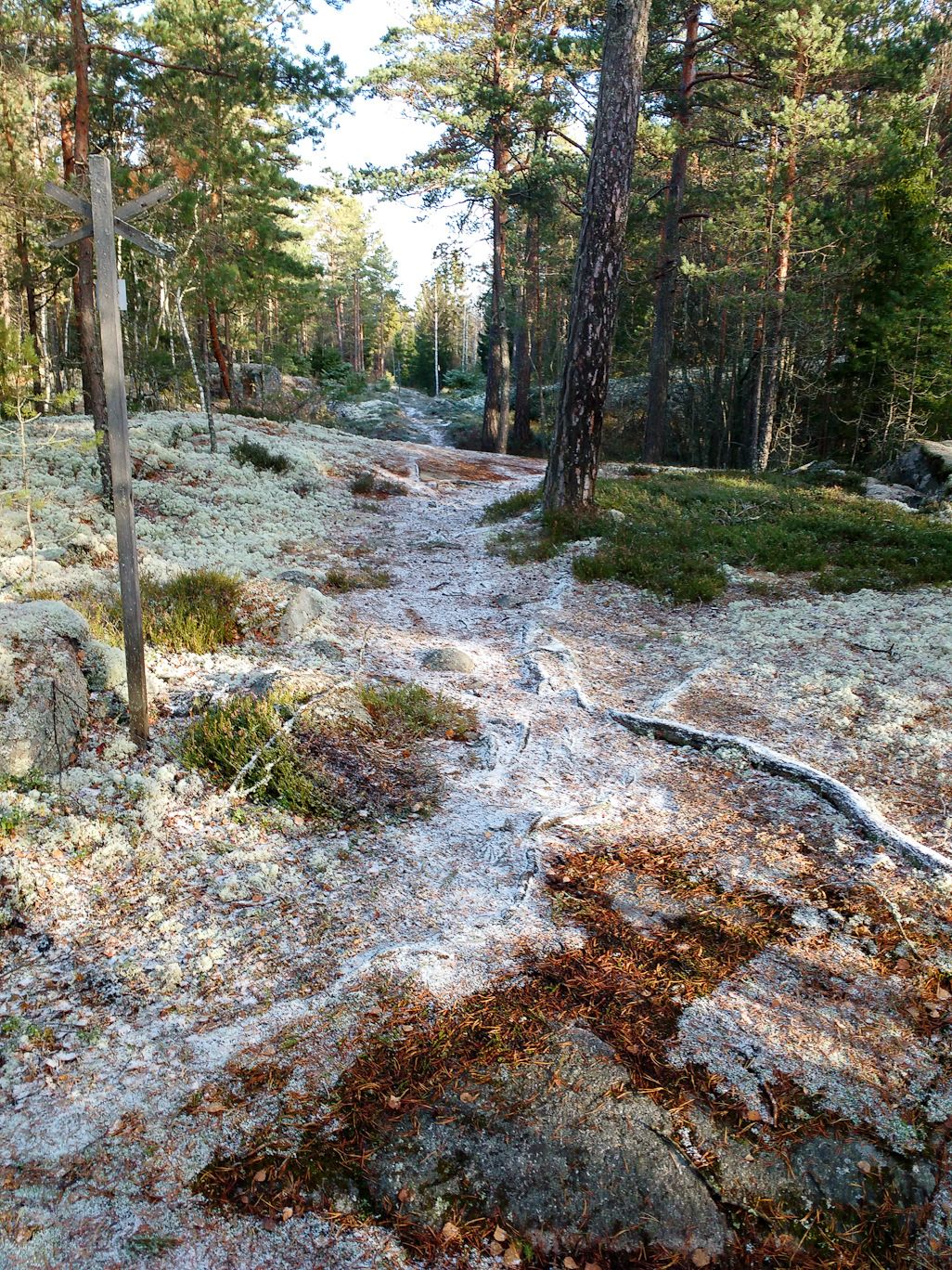 20161105-1115-_1478340936430.jpg