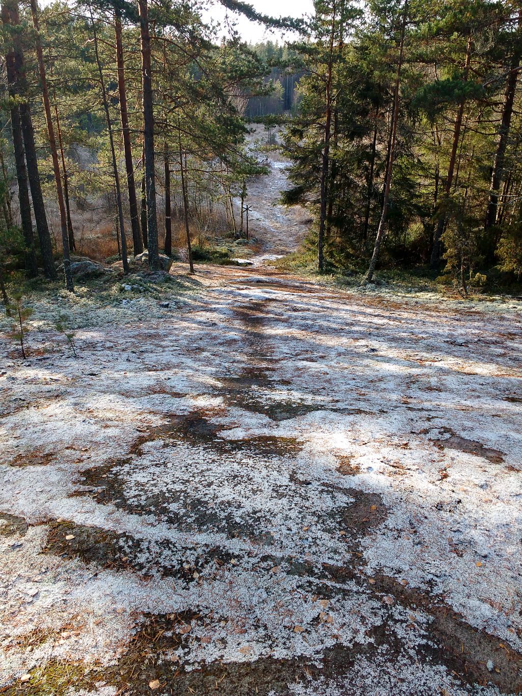 20161105-1116-_1478340959045.jpg