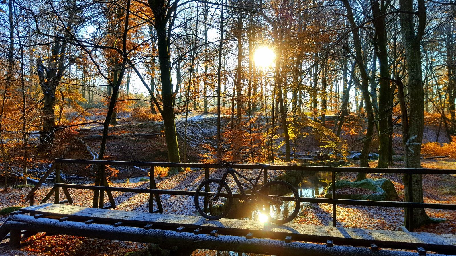 20161112_172916.jpg