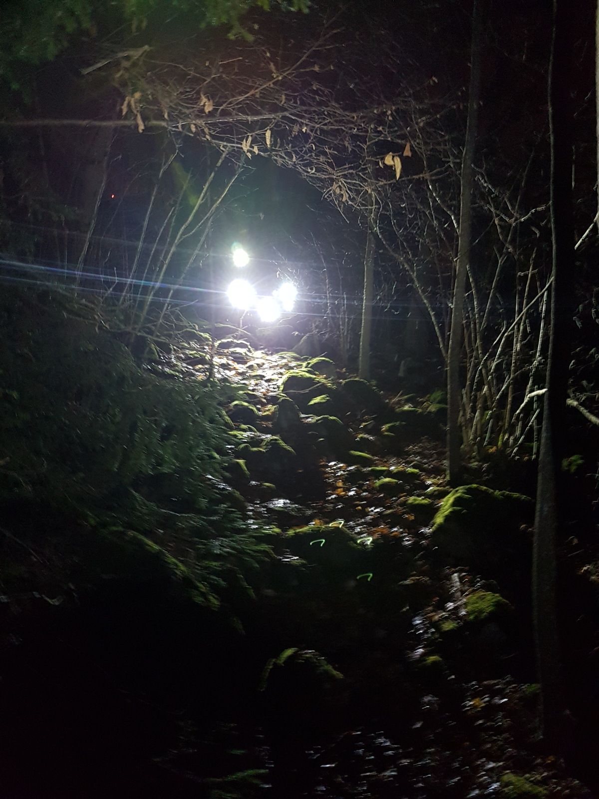 20161123_191355.jpg