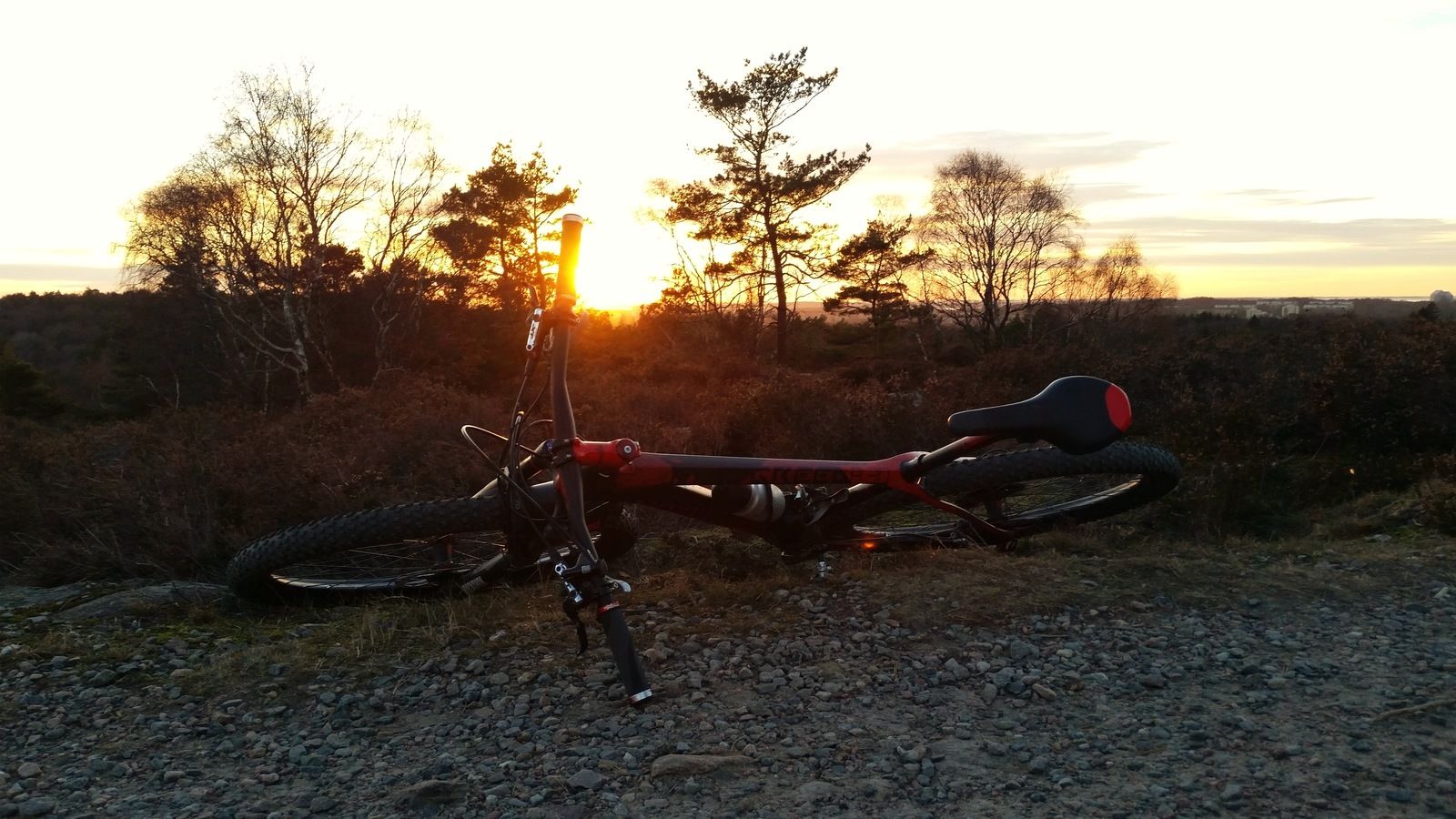 20161128_152115-01.jpeg