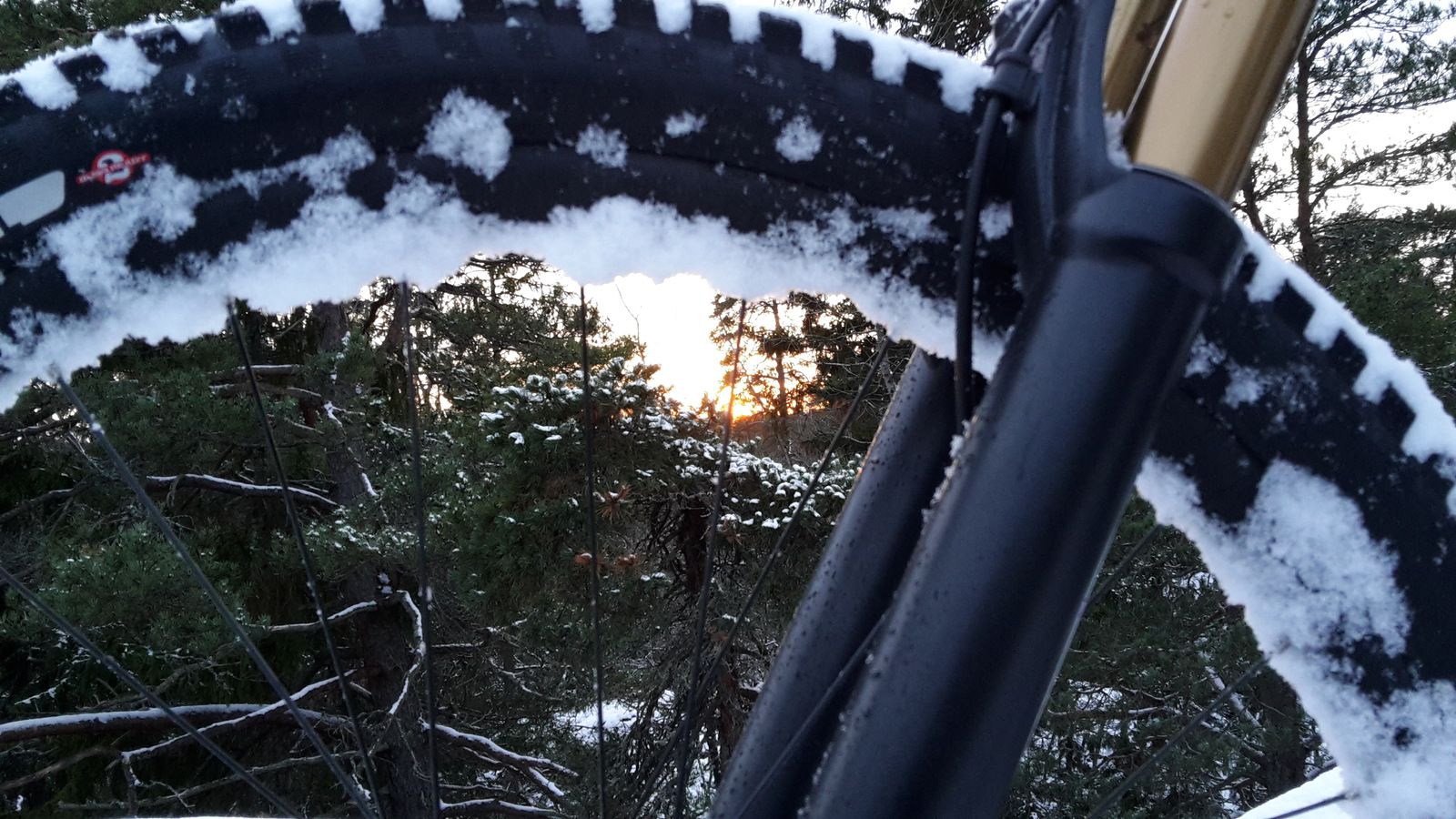 20161129_144421.jpg