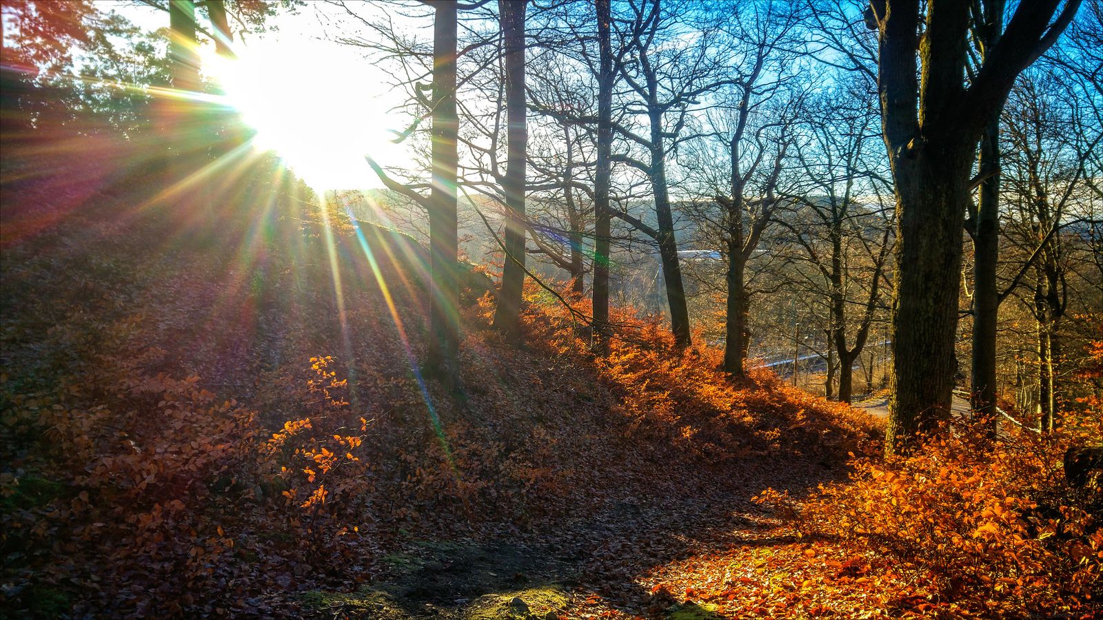20161212_130212_HDR-Edit.jpg