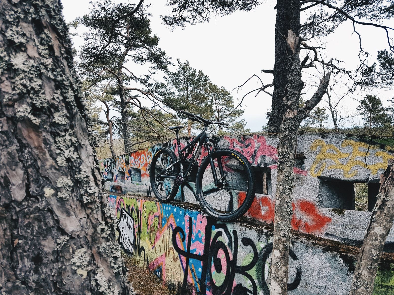 2017-04-0801.30.181.jpg