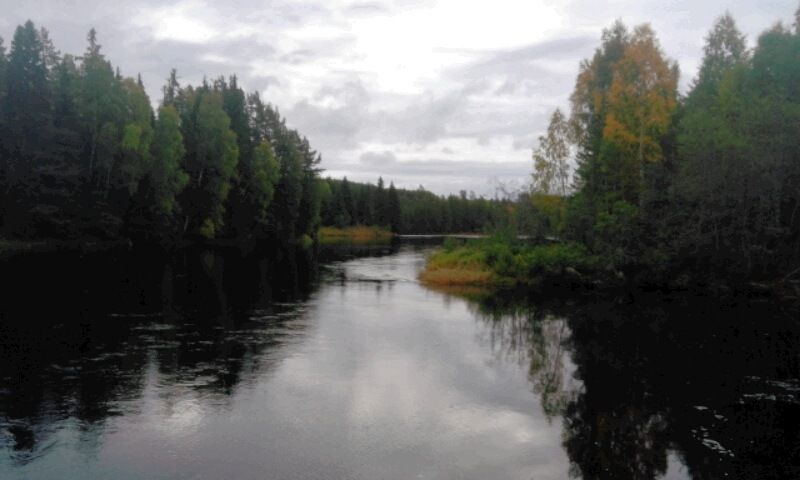 2017-09-2015.09.51.jpg