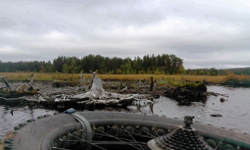 2017-09-2114.57.43.jpg