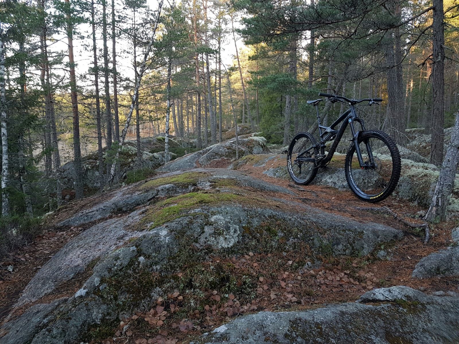 20170101_115259-3024x2268.jpg