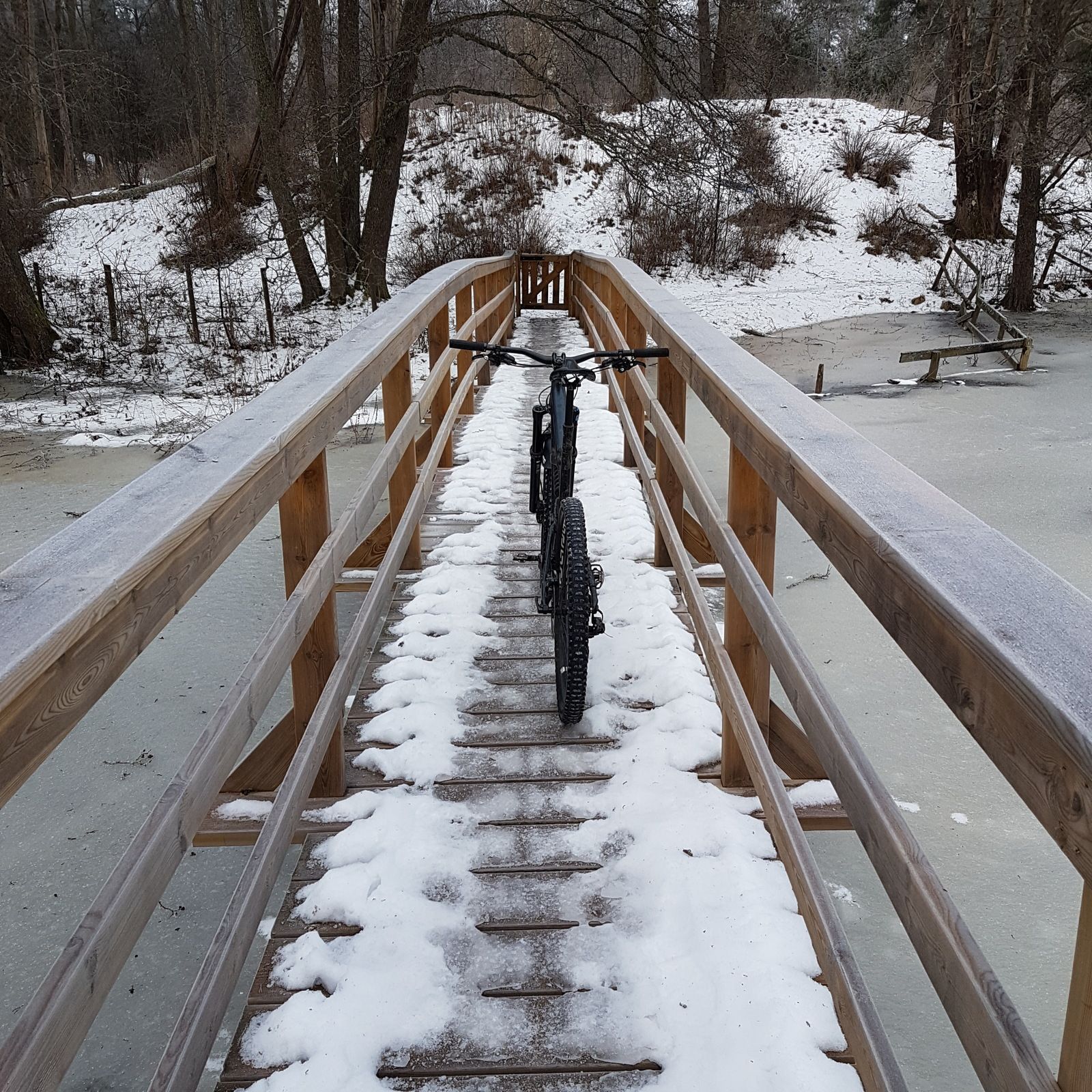 20170114_103727.jpg