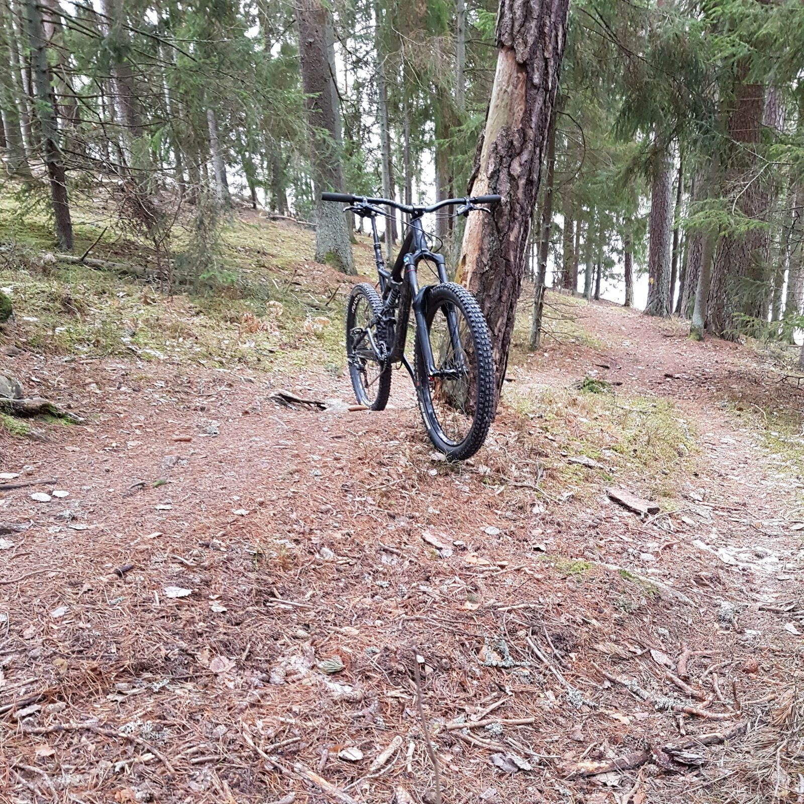 20170114_104834.jpg