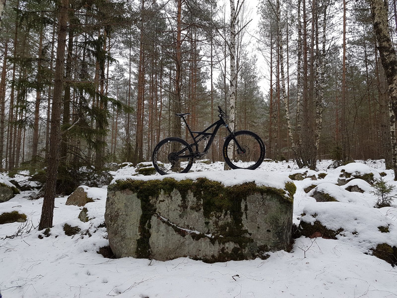 20170114_112318.jpg