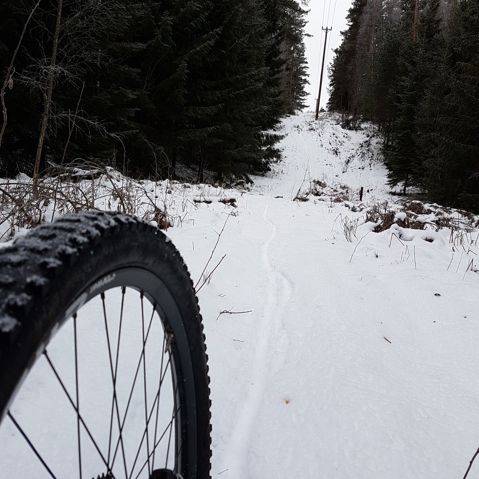 20170114_112640.jpg