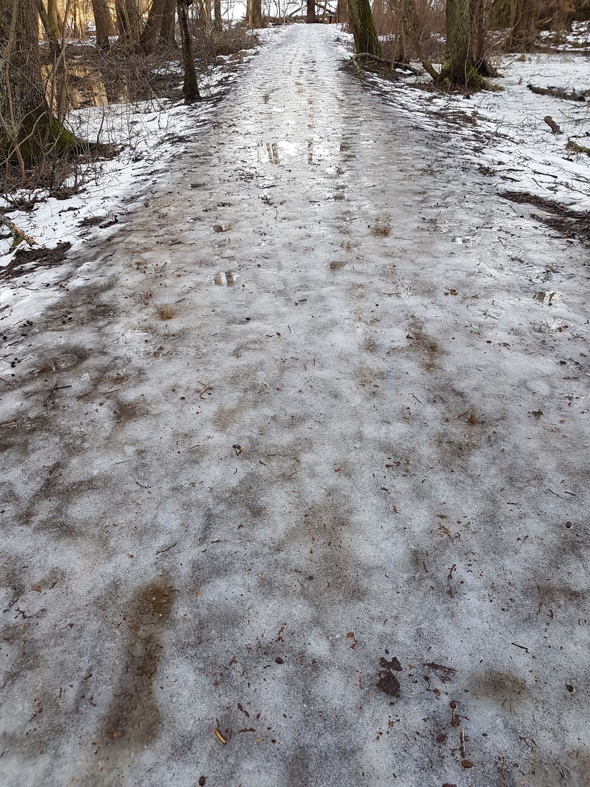 20170120_122042.jpg