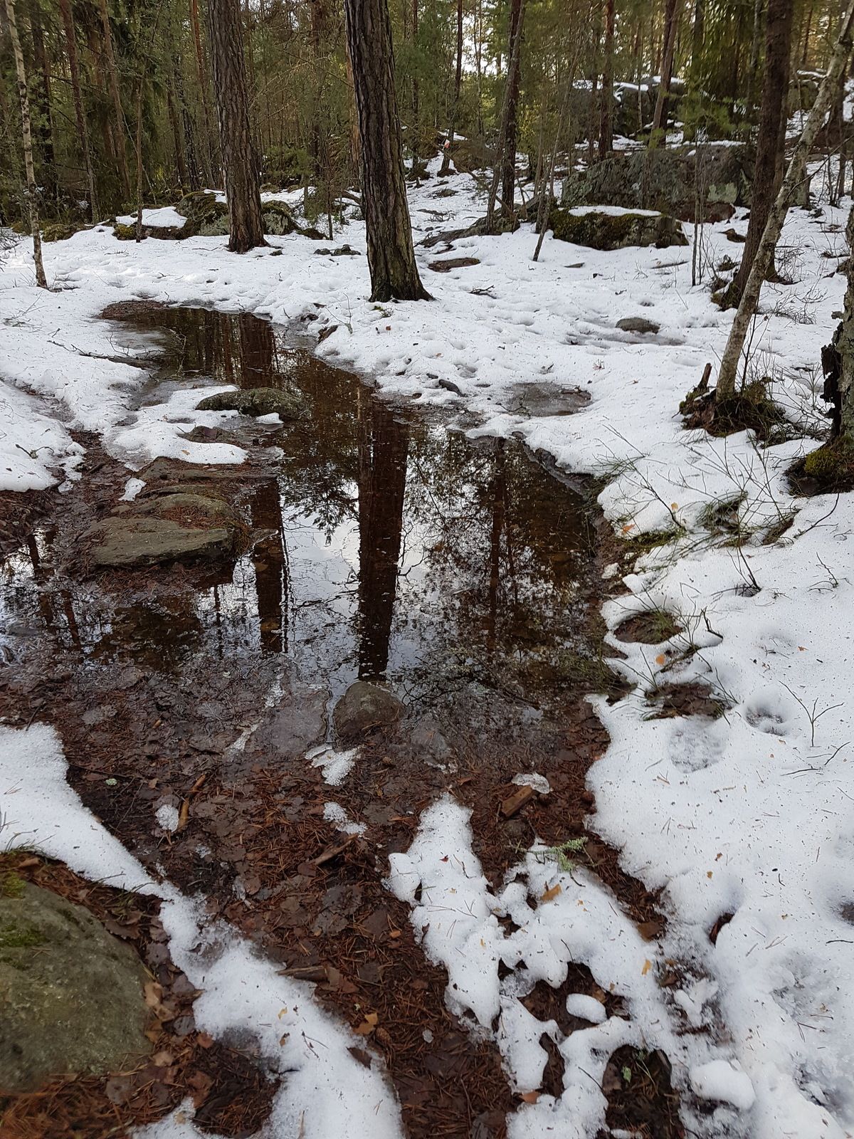 20170120_123647.jpg