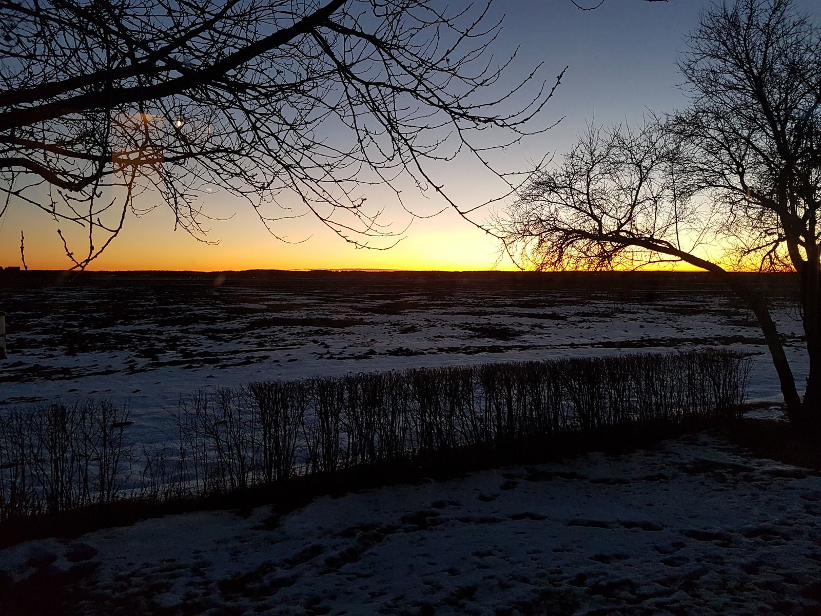 20170120_161948.jpg