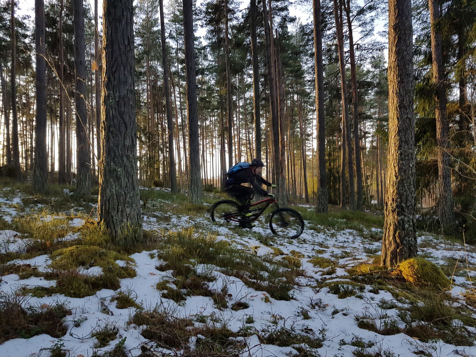 20170122_095556.jpg