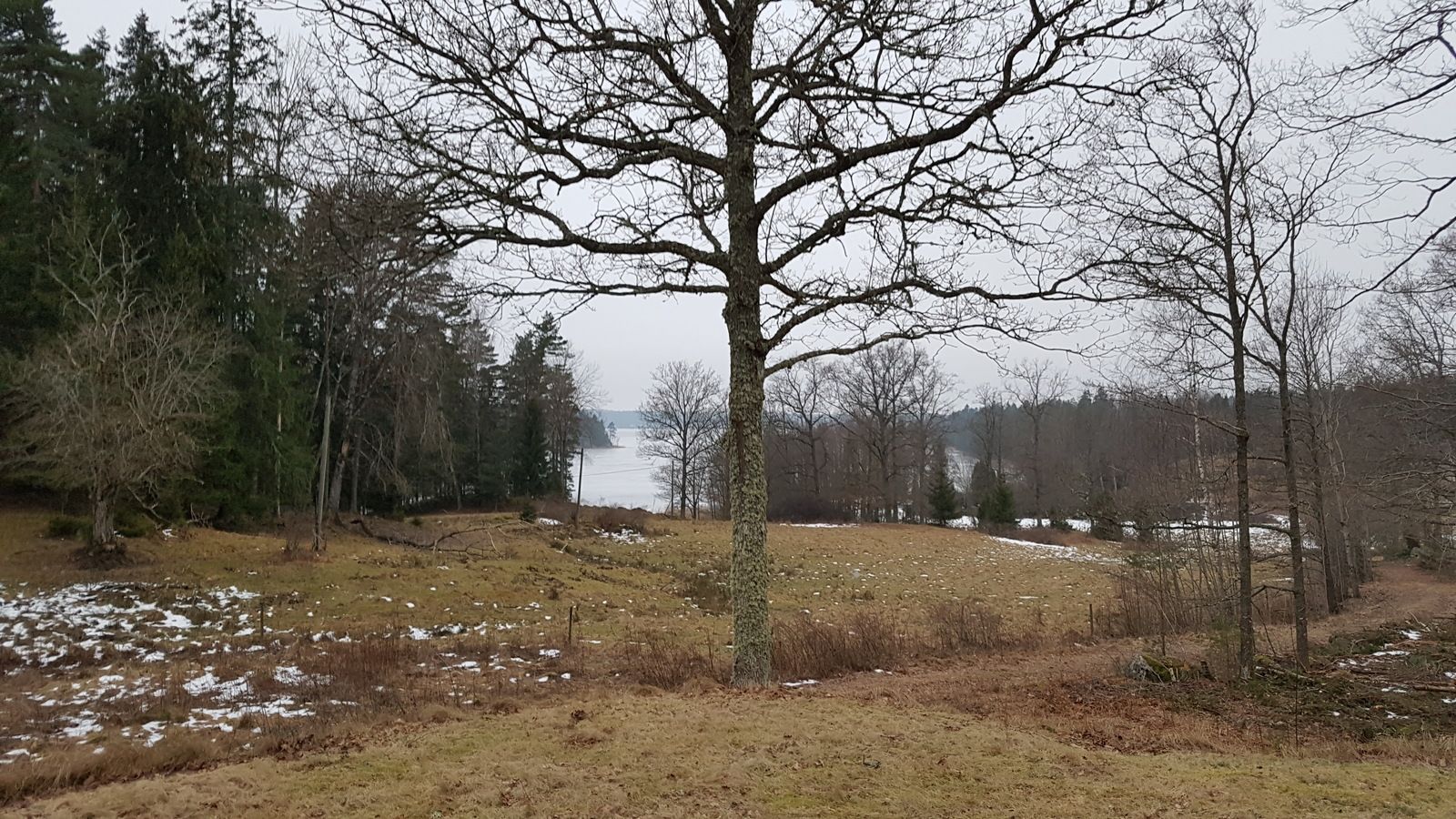 20170127_082226.jpg