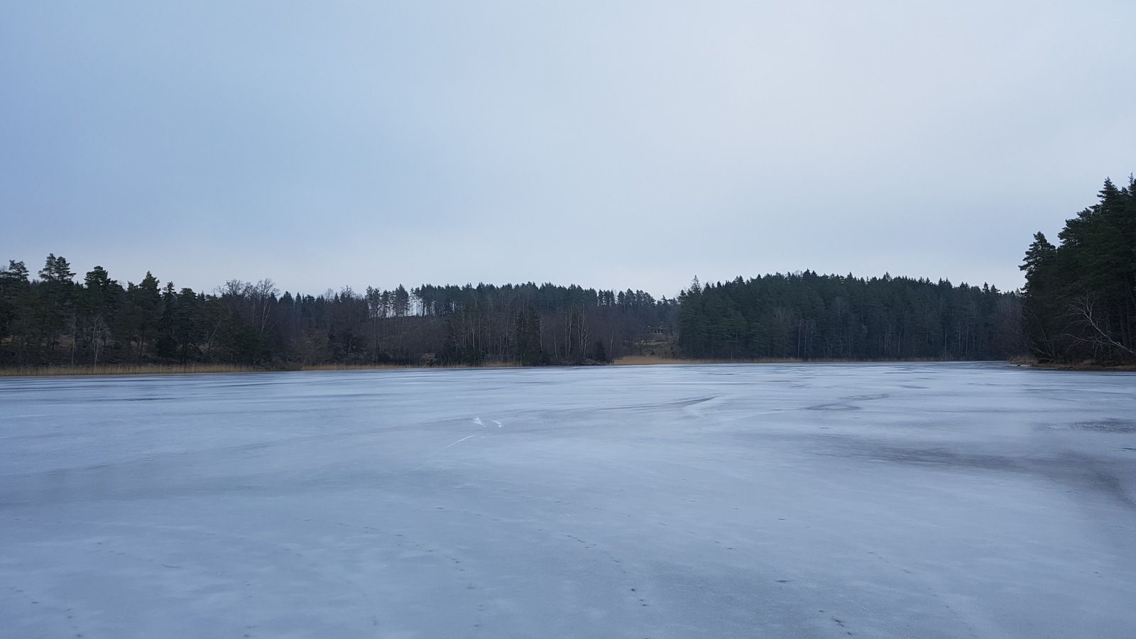 20170127_113224.jpg