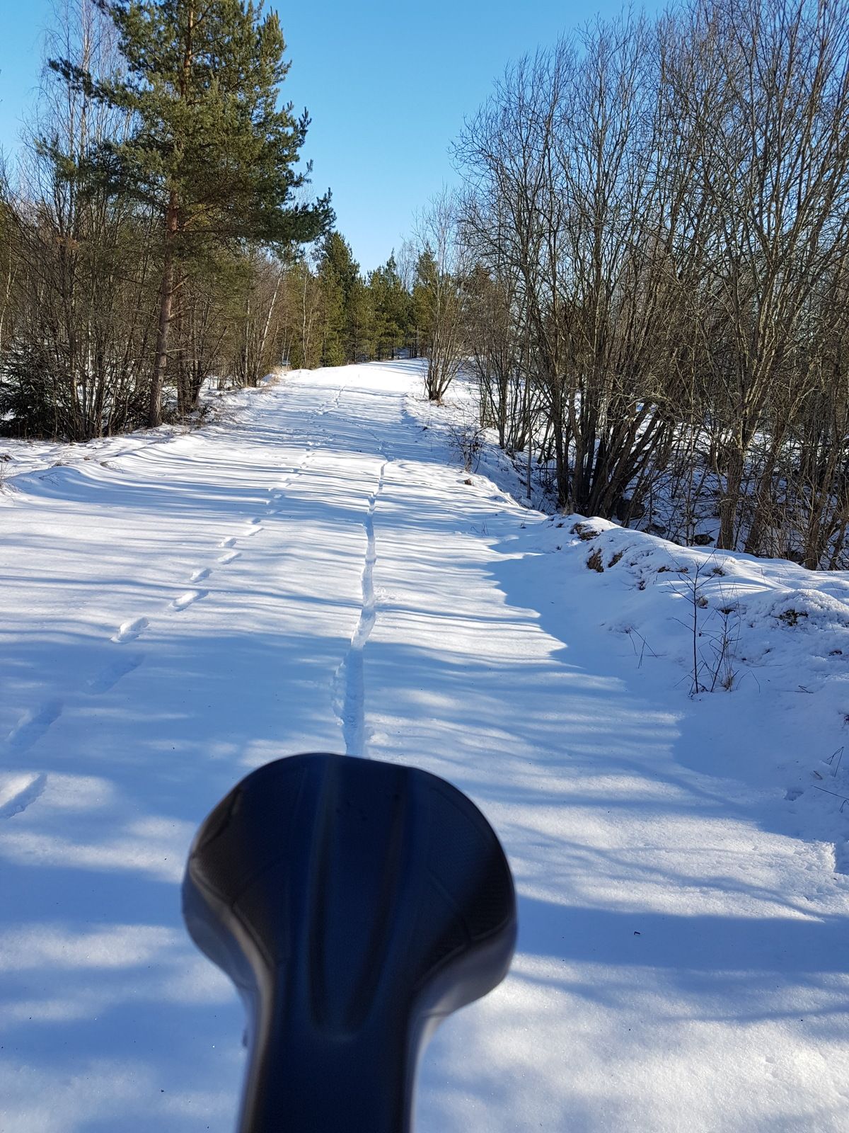 20170224_125000.jpg