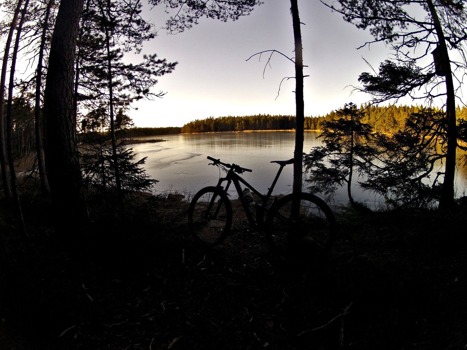 20170224_174730.jpg