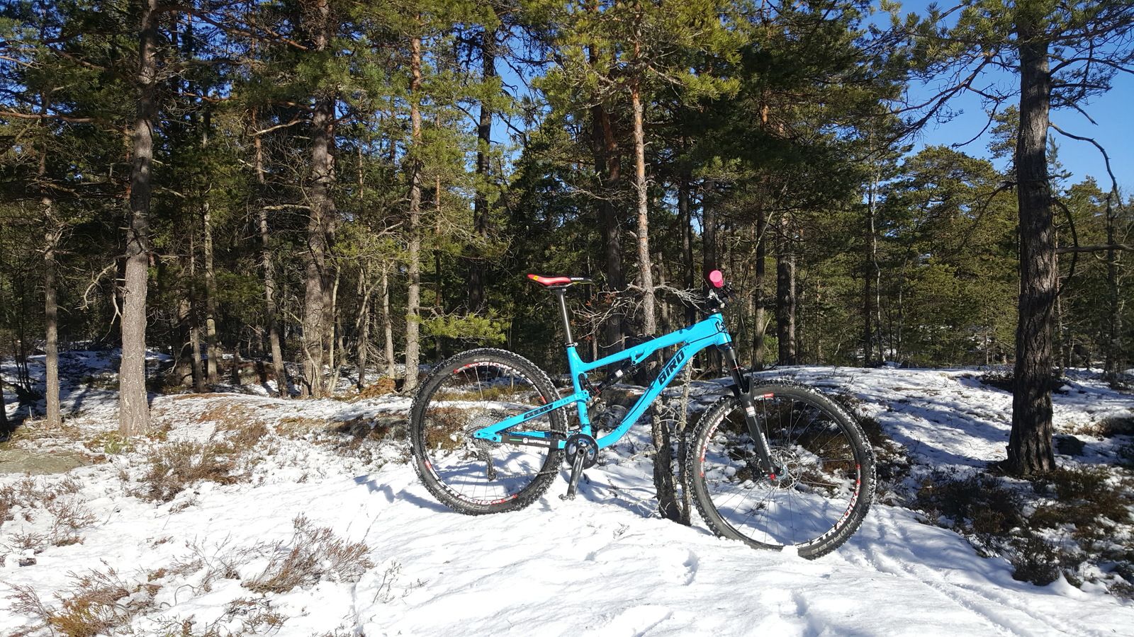 20170225_111732.jpg