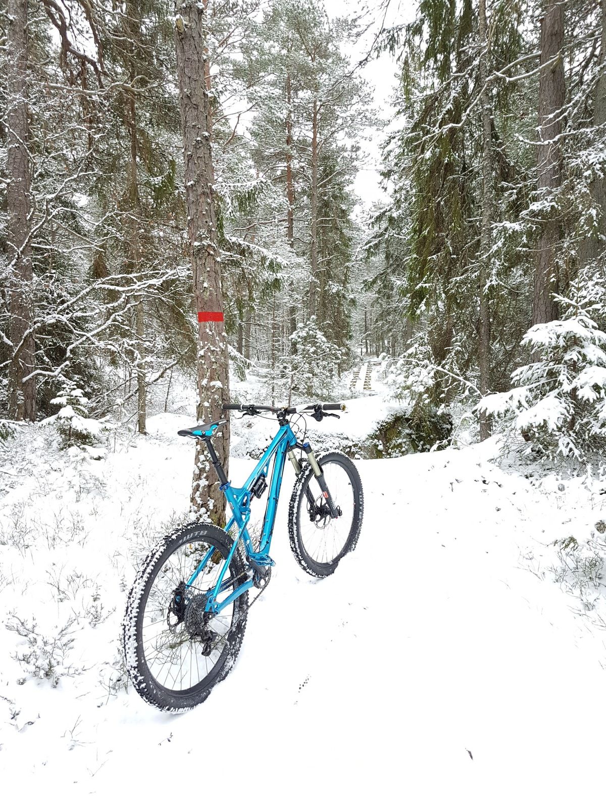 20170304_135945.jpg