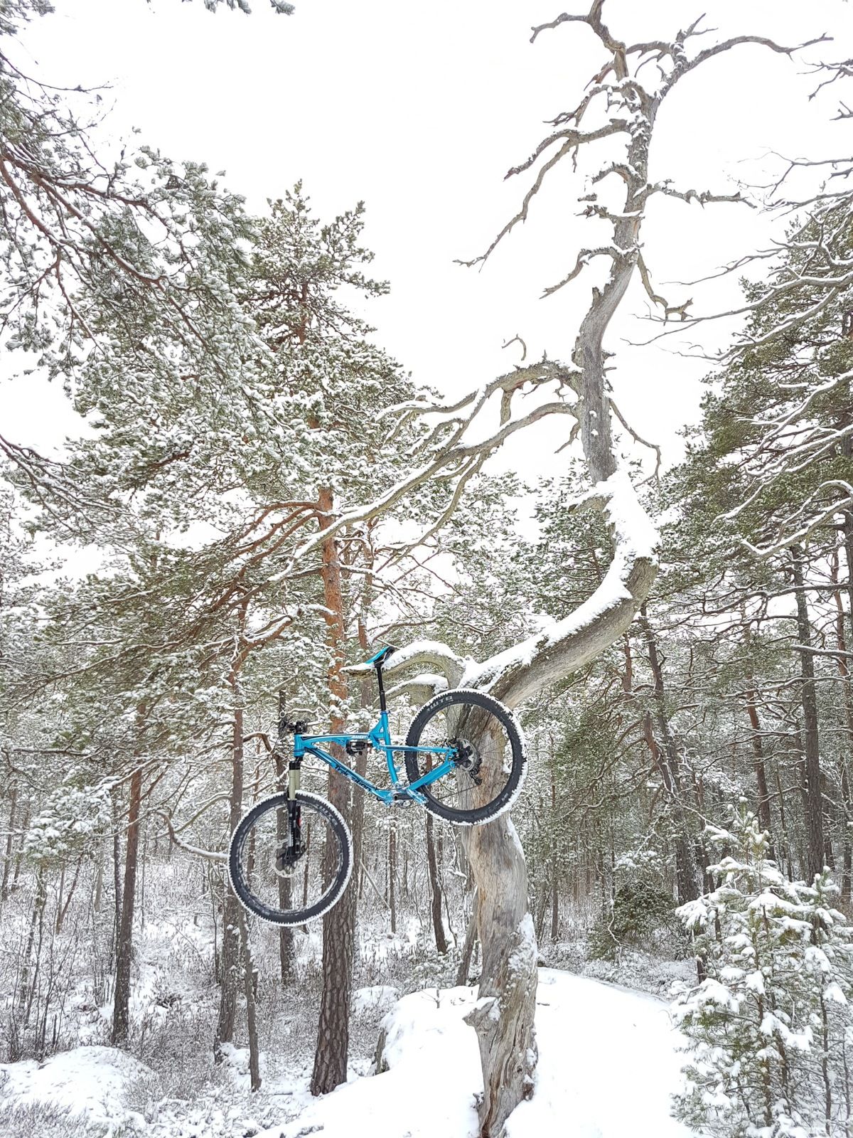 20170304_143806.jpg