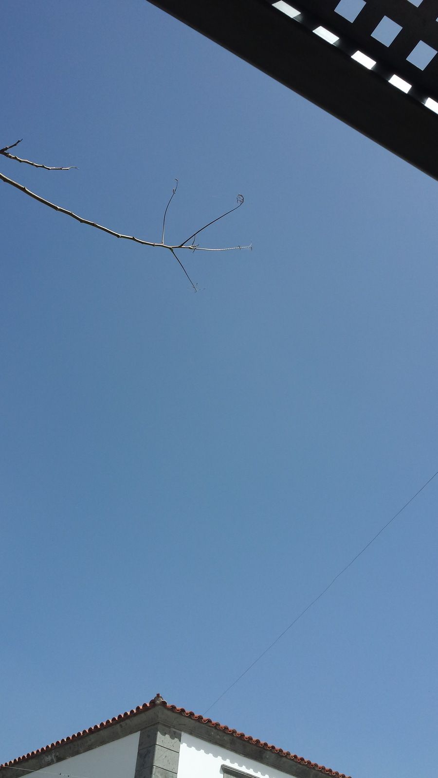 20170310_122707.jpg