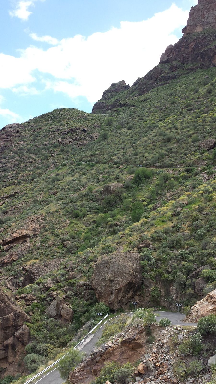 20170315_140137.jpg