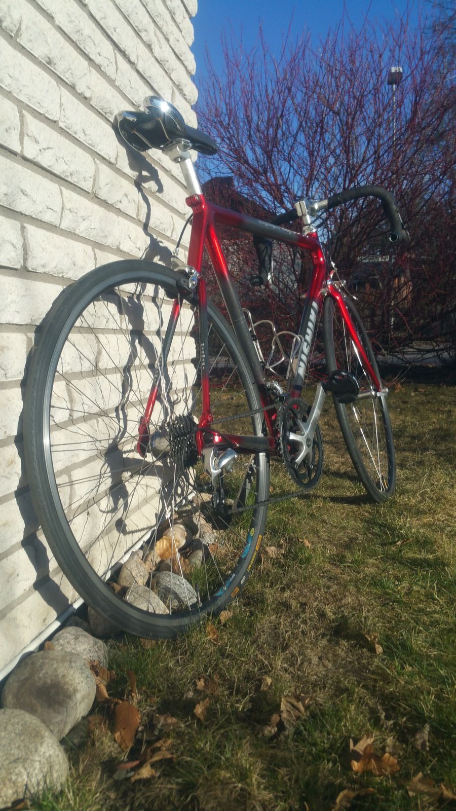 20170326_093113.jpg