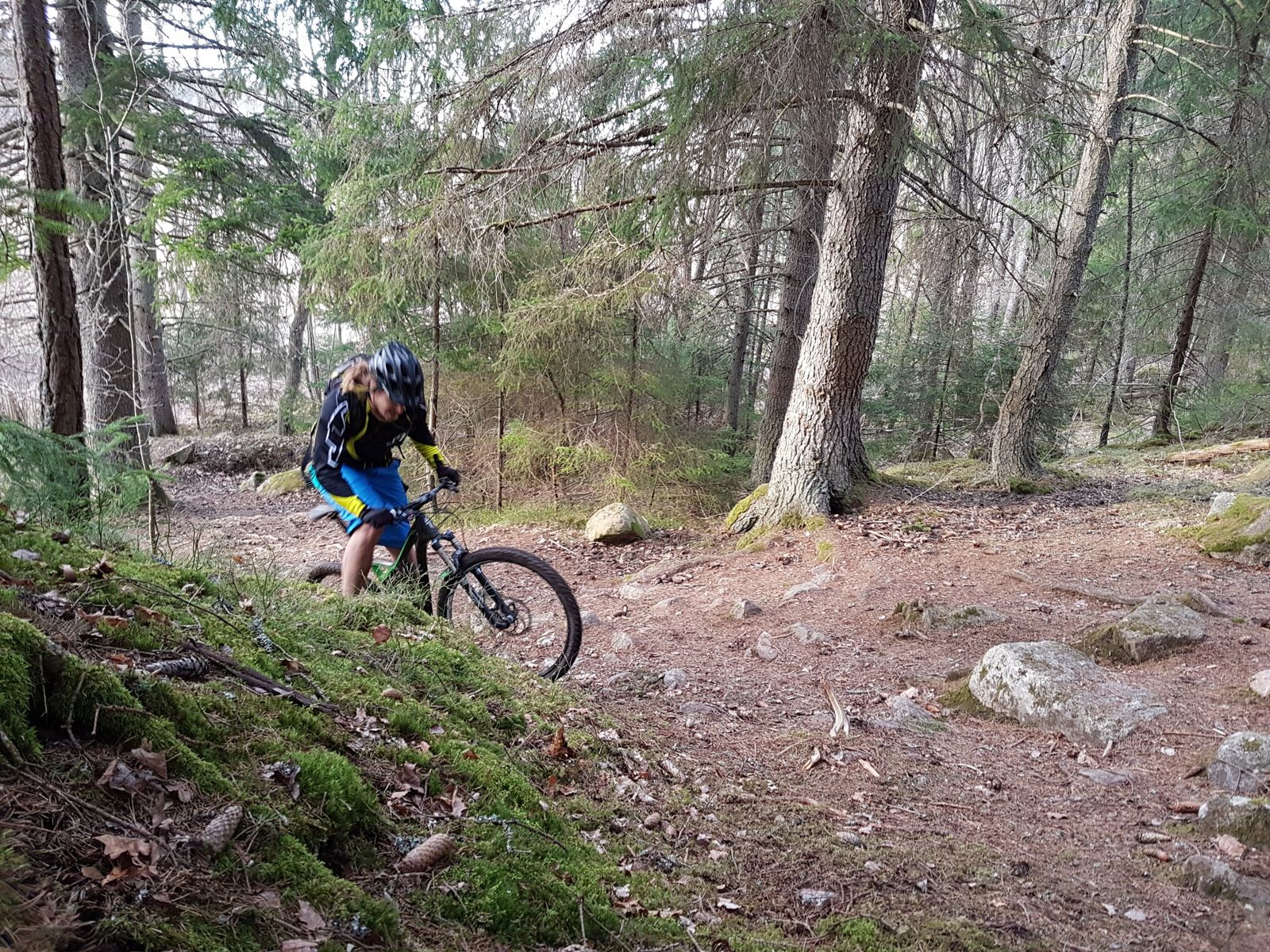 20170326_174011.jpg