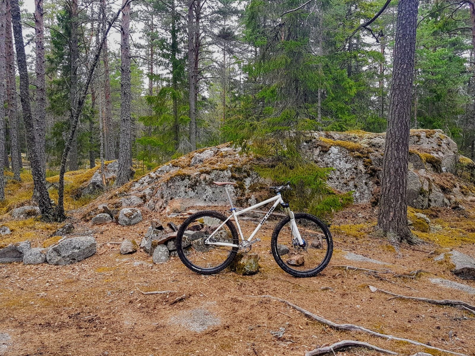 20170408_155258.jpg